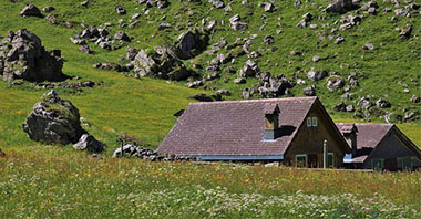自然资源部关于印发《国土空间调查、规划、用途管制用地用海分类指南》的通知